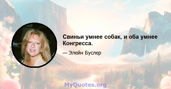 Свиньи умнее собак, и оба умнее Конгресса.