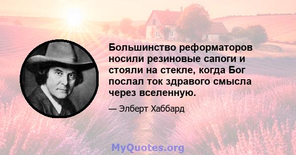 Большинство реформаторов носили резиновые сапоги и стояли на стекле, когда Бог послал ток здравого смысла через вселенную.