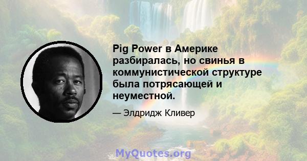 Pig Power в Америке разбиралась, но свинья в коммунистической структуре была потрясающей и неуместной.