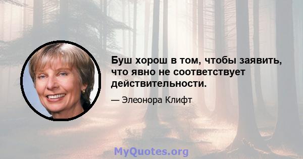 Буш хорош в том, чтобы заявить, что явно не соответствует действительности.