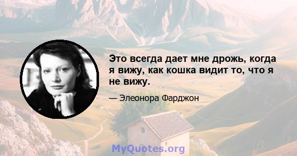 Это всегда дает мне дрожь, когда я вижу, как кошка видит то, что я не вижу.