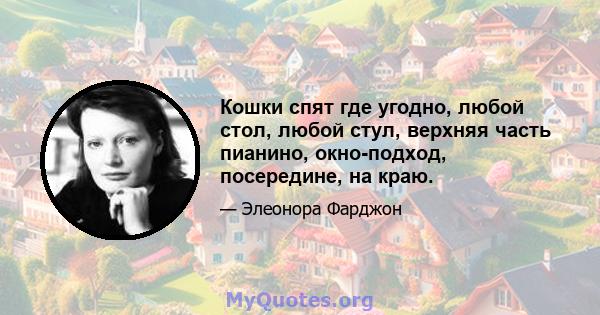 Кошки спят где угодно, любой стол, любой стул, верхняя часть пианино, окно-подход, посередине, на краю.