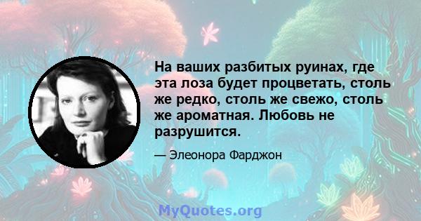 На ваших разбитых руинах, где эта лоза будет процветать, столь же редко, столь же свежо, столь же ароматная. Любовь не разрушится.