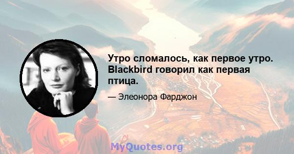 Утро сломалось, как первое утро. Blackbird говорил как первая птица.