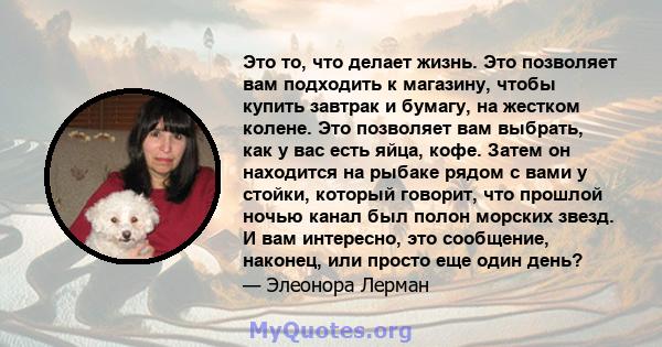 Это то, что делает жизнь. Это позволяет вам подходить к магазину, чтобы купить завтрак и бумагу, на жестком колене. Это позволяет вам выбрать, как у вас есть яйца, кофе. Затем он находится на рыбаке рядом с вами у