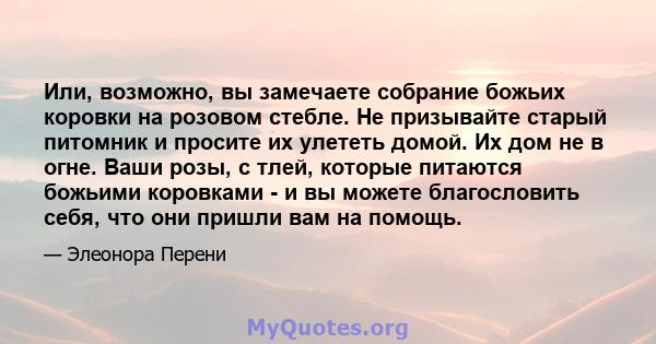 Или, возможно, вы замечаете собрание божьих коровки на розовом стебле. Не призывайте старый питомник и просите их улететь домой. Их дом не в огне. Ваши розы, с тлей, которые питаются божьими коровками - и вы можете