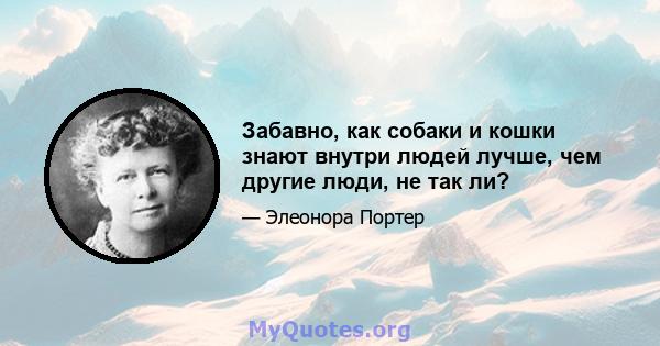 Забавно, как собаки и кошки знают внутри людей лучше, чем другие люди, не так ли?