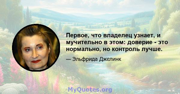 Первое, что владелец узнает, и мучительно в этом: доверие - это нормально, но контроль лучше.