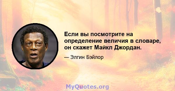 Если вы посмотрите на определение величия в словаре, он скажет Майкл Джордан.