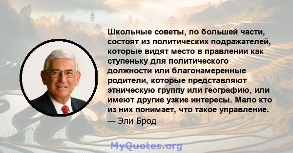 Школьные советы, по большей части, состоят из политических подражателей, которые видят место в правлении как ступеньку для политического должности или благонамеренные родители, которые представляют этническую группу или 