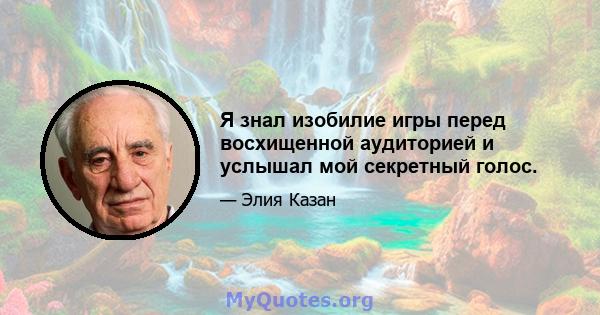 Я знал изобилие игры перед восхищенной аудиторией и услышал мой секретный голос.