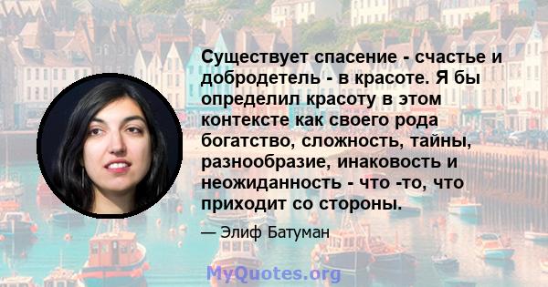 Существует спасение - счастье и добродетель - в красоте. Я бы определил красоту в этом контексте как своего рода богатство, сложность, тайны, разнообразие, инаковость и неожиданность - что -то, что приходит со стороны.