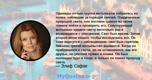 Однажды ночью группа мотыльков собралась на полке, наблюдая за горящей свечей. Озадаченные природой света, они послали одного из своих членов пойти и проверить его. Скаутирующий мотыльки кружил свечу несколько раз и