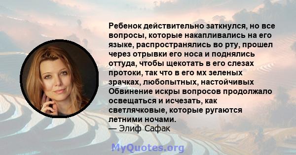 Ребенок действительно заткнулся, но все вопросы, которые накапливались на его языке, распространялись во рту, прошел через отрывки его носа и поднялись оттуда, чтобы щекотать в его слезах протоки, так что в его мх