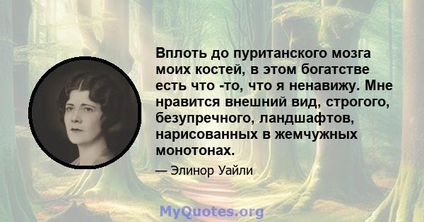 Вплоть до пуританского мозга моих костей, в этом богатстве есть что -то, что я ненавижу. Мне нравится внешний вид, строгого, безупречного, ландшафтов, нарисованных в жемчужных монотонах.