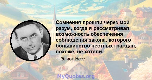 Сомнения прошли через мой разум, когда я рассматривал возможность обеспечения соблюдения закона, которого большинство честных граждан, похоже, не хотели.