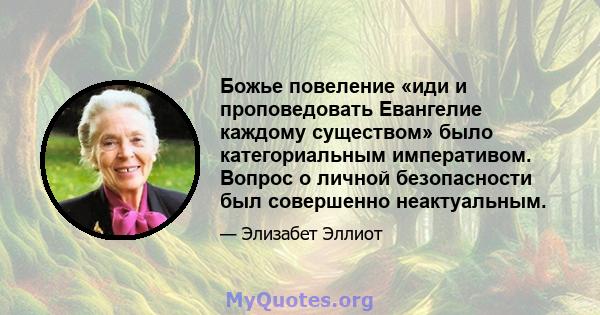 Божье повеление «иди и проповедовать Евангелие каждому существом» было категориальным императивом. Вопрос о личной безопасности был совершенно неактуальным.