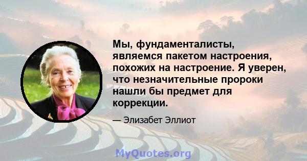 Мы, фундаменталисты, являемся пакетом настроения, похожих на настроение. Я уверен, что незначительные пророки нашли бы предмет для коррекции.