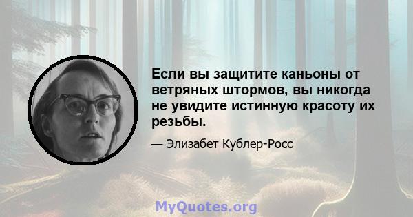 Если вы защитите каньоны от ветряных штормов, вы никогда не увидите истинную красоту их резьбы.