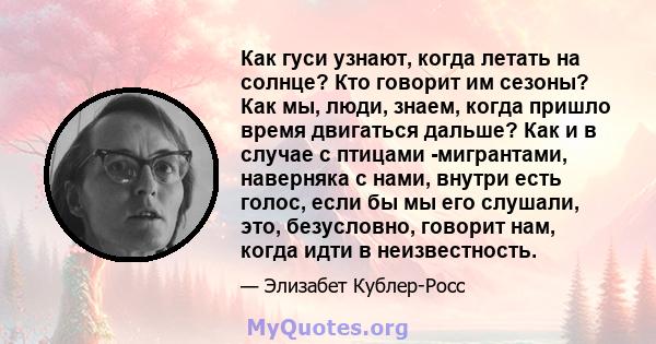 Как гуси узнают, когда летать на солнце? Кто говорит им сезоны? Как мы, люди, знаем, когда пришло время двигаться дальше? Как и в случае с птицами -мигрантами, наверняка с нами, внутри есть голос, если бы мы его