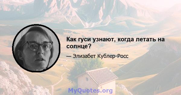 Как гуси узнают, когда летать на солнце?