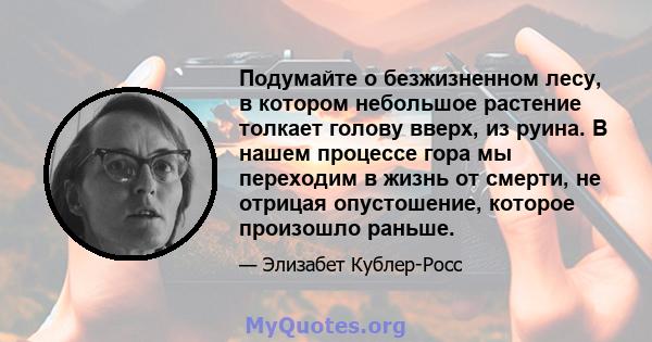 Подумайте о безжизненном лесу, в котором небольшое растение толкает голову вверх, из руина. В нашем процессе гора мы переходим в жизнь от смерти, не отрицая опустошение, которое произошло раньше.