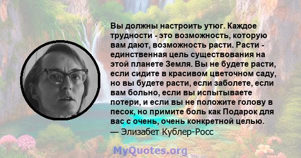 Вы должны настроить утюг. Каждое трудности - это возможность, которую вам дают, возможность расти. Расти - единственная цель существования на этой планете Земля. Вы не будете расти, если сидите в красивом цветочном