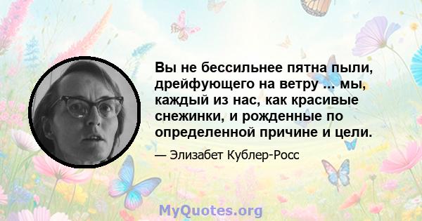 Вы не бессильнее пятна пыли, дрейфующего на ветру ... мы, каждый из нас, как красивые снежинки, и рожденные по определенной причине и цели.