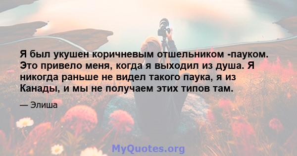 Я был укушен коричневым отшельником -пауком. Это привело меня, когда я выходил из душа. Я никогда раньше не видел такого паука, я из Канады, и мы не получаем этих типов там.