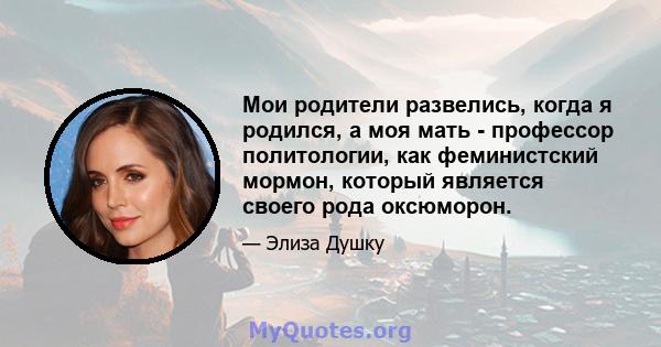 Мои родители развелись, когда я родился, а моя мать - профессор политологии, как феминистский мормон, который является своего рода оксюморон.