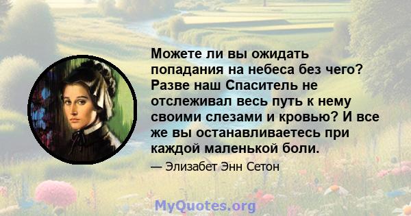 Можете ли вы ожидать попадания на небеса без чего? Разве наш Спаситель не отслеживал весь путь к нему своими слезами и кровью? И все же вы останавливаетесь при каждой маленькой боли.