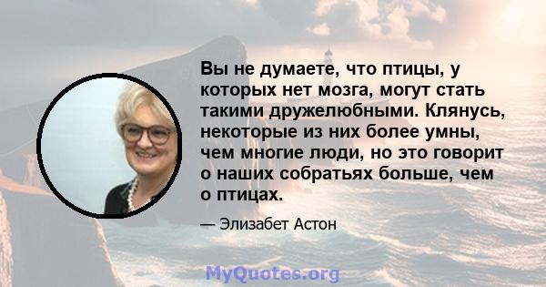 Вы не думаете, что птицы, у которых нет мозга, могут стать такими дружелюбными. Клянусь, некоторые из них более умны, чем многие люди, но это говорит о наших собратьях больше, чем о птицах.