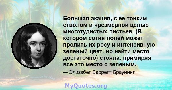 Большая акация, с ее тонким стволом и чрезмерной целью многотудистых листьев. (В котором сотня полей может пролить их росу и интенсивную зеленый цвет, но найти место достаточно) стояла, примиряя все это место с зеленым.