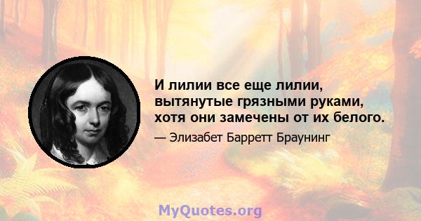 И лилии все еще лилии, вытянутые грязными руками, хотя они замечены от их белого.