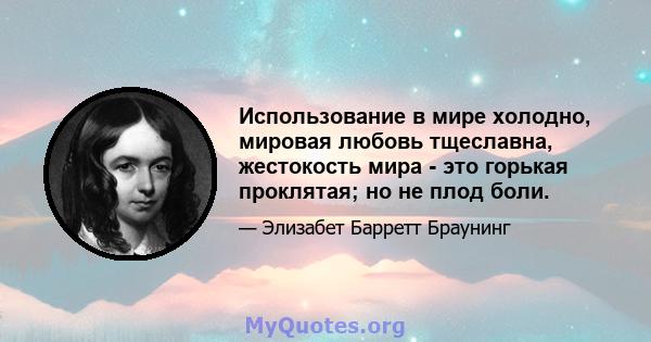 Использование в мире холодно, мировая любовь тщеславна, жестокость мира - это горькая проклятая; но не плод боли.