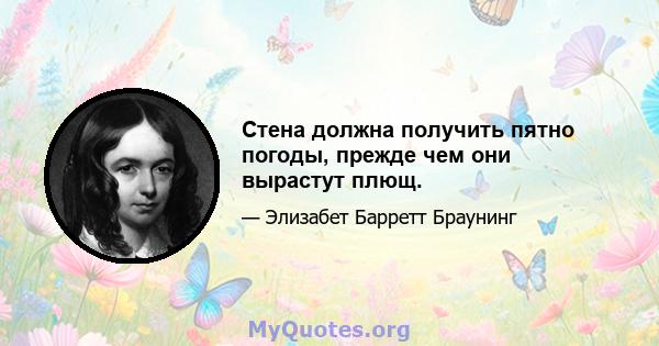 Стена должна получить пятно погоды, прежде чем они вырастут плющ.