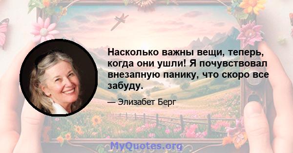 Насколько важны вещи, теперь, когда они ушли! Я почувствовал внезапную панику, что скоро все забуду.