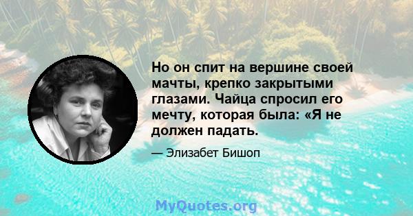 Но он спит на вершине своей мачты, крепко закрытыми глазами. Чайца спросил его мечту, которая была: «Я не должен падать.