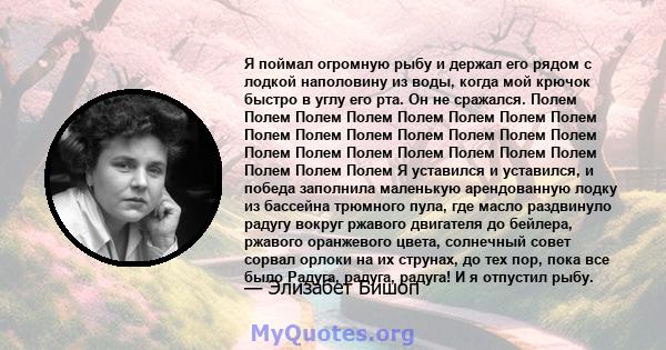 Я поймал огромную рыбу и держал его рядом с лодкой наполовину из воды, когда мой крючок быстро в углу его рта. Он не сражался. Полем Полем Полем Полем Полем Полем Полем Полем Полем Полем Полем Полем Полем Полем Полем