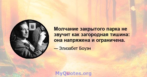 Молчание закрытого парка не звучит как загородная тишина: она напряжена и ограничена.