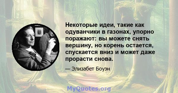 Некоторые идеи, такие как одуванчики в газонах, упорно поражают: вы можете снять вершину, но корень остается, спускается вниз и может даже прорасти снова.