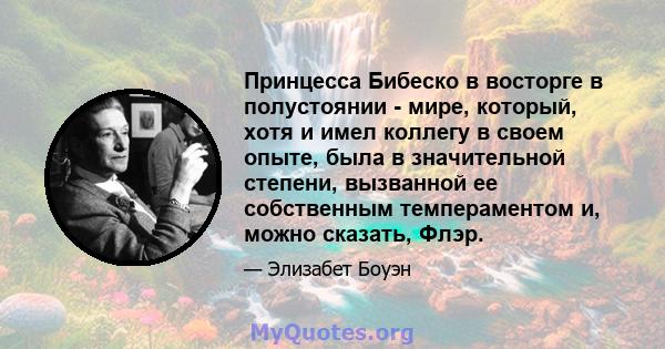 Принцесса Бибеско в восторге в полустоянии - мире, который, хотя и имел коллегу в своем опыте, была в значительной степени, вызванной ее собственным темпераментом и, можно сказать, Флэр.