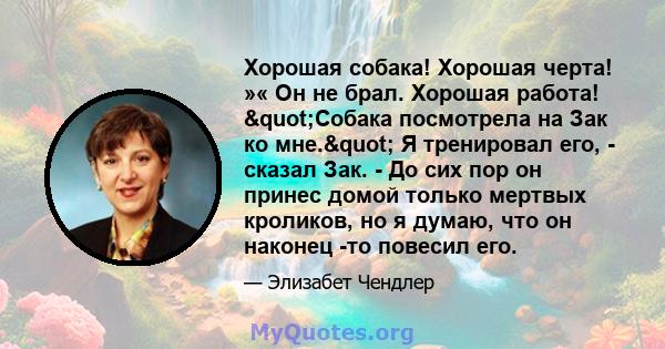 Хорошая собака! Хорошая черта! »« Он не брал. Хорошая работа! "Собака посмотрела на Зак ко мне." Я тренировал его, - сказал Зак. - До сих пор он принес домой только мертвых кроликов, но я думаю, что он наконец 