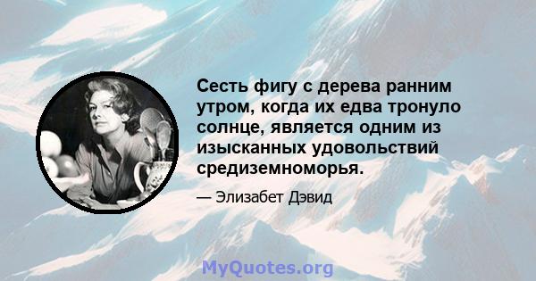 Сесть фигу с дерева ранним утром, когда их едва тронуло солнце, является одним из изысканных удовольствий средиземноморья.