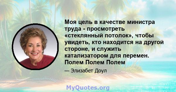 Моя цель в качестве министра труда - просмотреть «стеклянный потолок», чтобы увидеть, кто находится на другой стороне, и служить катализатором для перемен. Полем Полем Полем