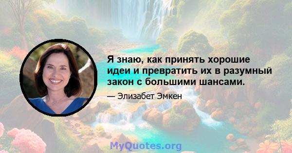 Я знаю, как принять хорошие идеи и превратить их в разумный закон с большими шансами.