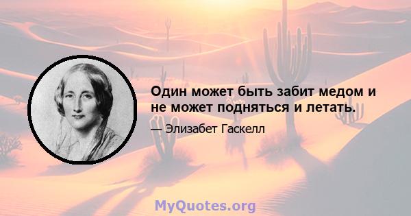 Один может быть забит медом и не может подняться и летать.