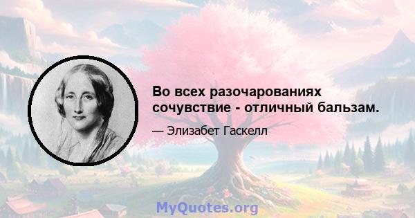 Во всех разочарованиях сочувствие - отличный бальзам.