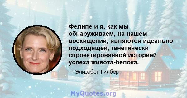 Фелипе и я, как мы обнаруживаем, на нашем восхищении, являются идеально подходящей, генетически спроектированной историей успеха живота-белока.