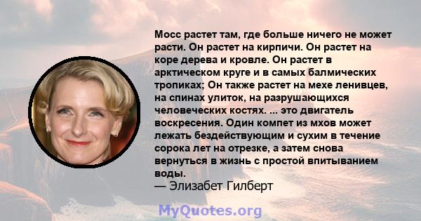 Мосс растет там, где больше ничего не может расти. Он растет на кирпичи. Он растет на коре дерева и кровле. Он растет в арктическом круге и в самых балмических тропиках; Он также растет на мехе ленивцев, на спинах